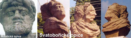 Svatoboick opice